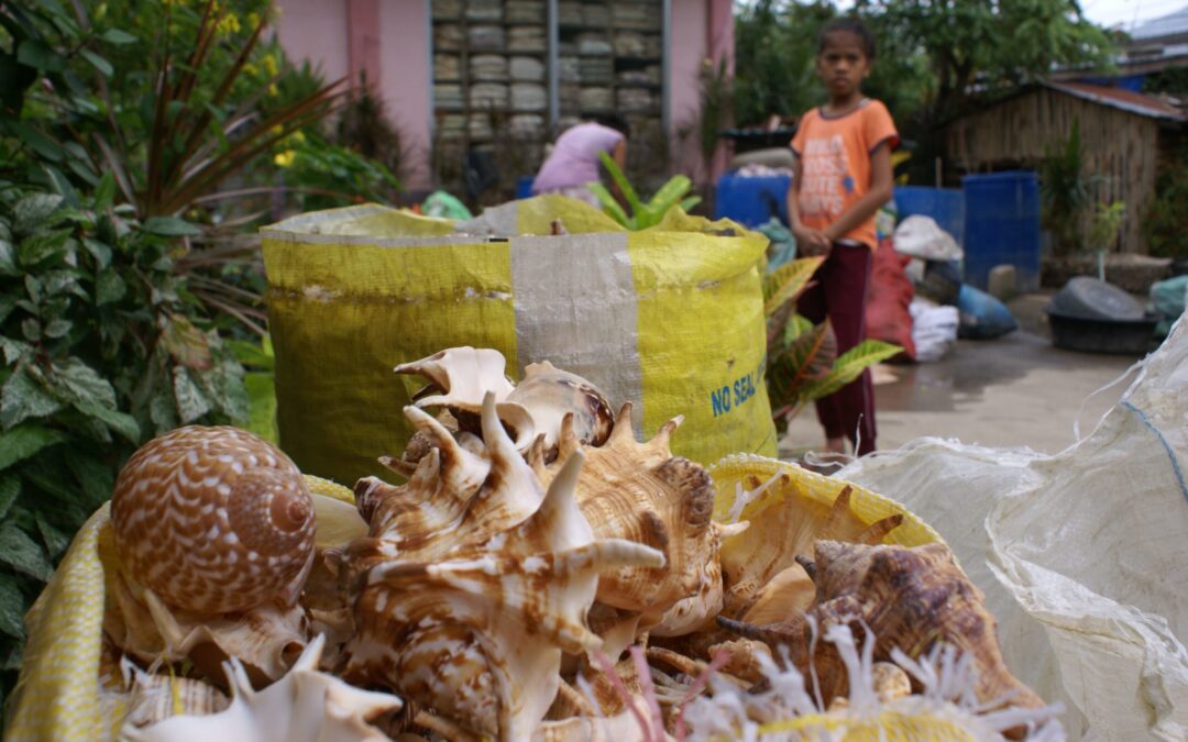 Tropenmuscheln_deepwave