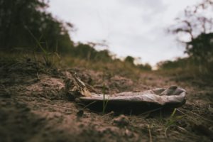 Auf einem Waldboden liegt eine verrottete Plastikflasche