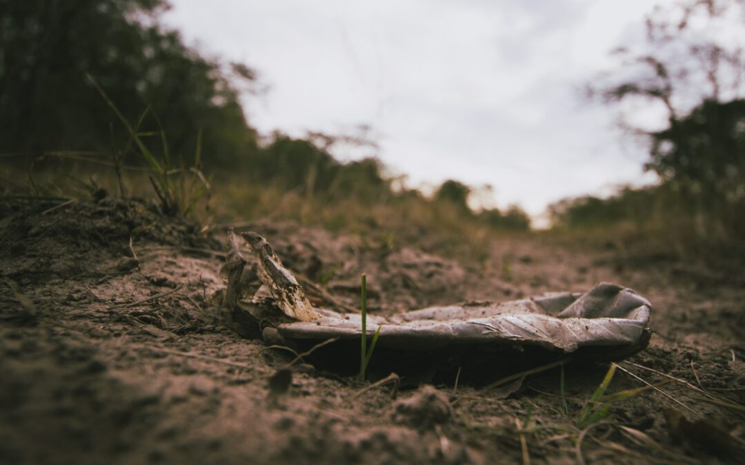 mikroplastik_im_boden