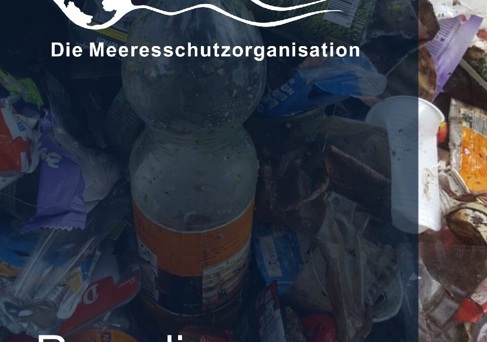 Recycling_Broschuere_Clickable_DEEPWAVE_27_9_2019_V2