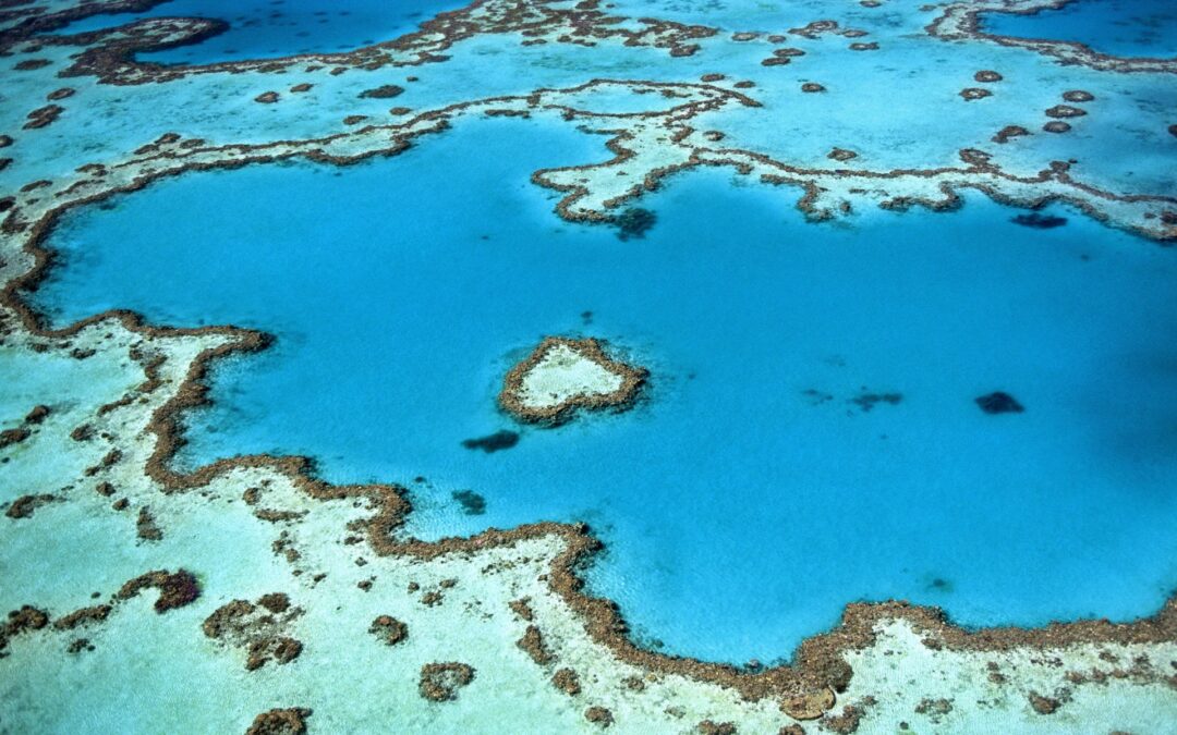 great_barrier_reef_behörde_stellt_sich_gegen_regierung