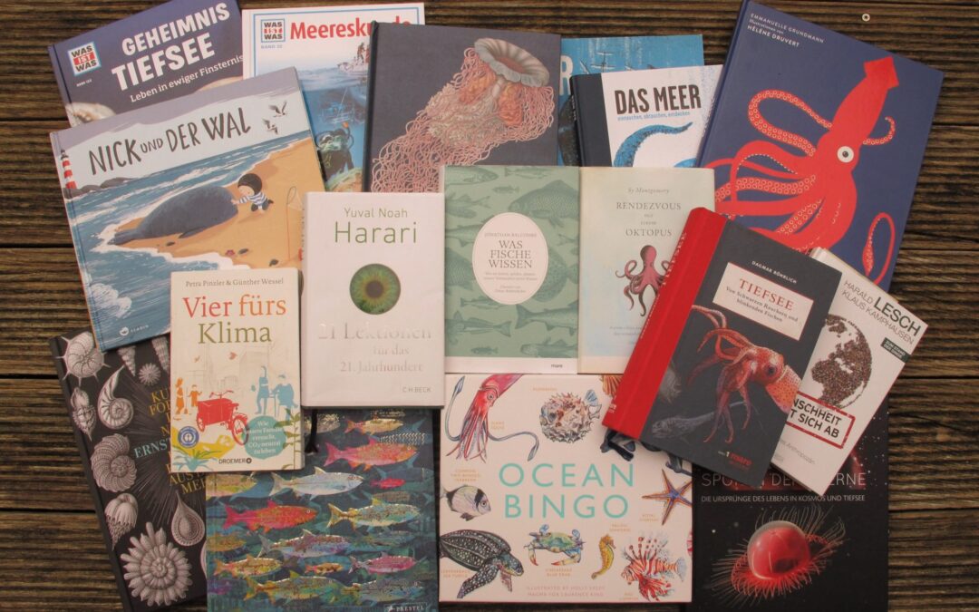 Buchempfehlung_Aktion_Meer_Meer_Weniger_Plastik