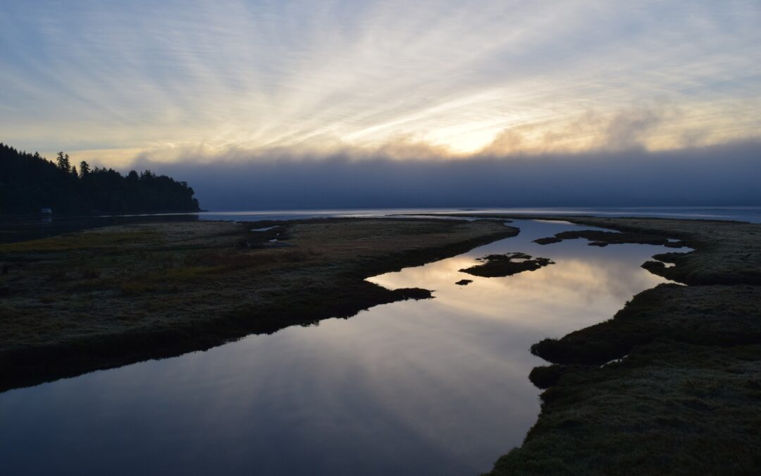 Nabu_Weltwassertag_gewässerpolitik_vom_fluss_zum_meer