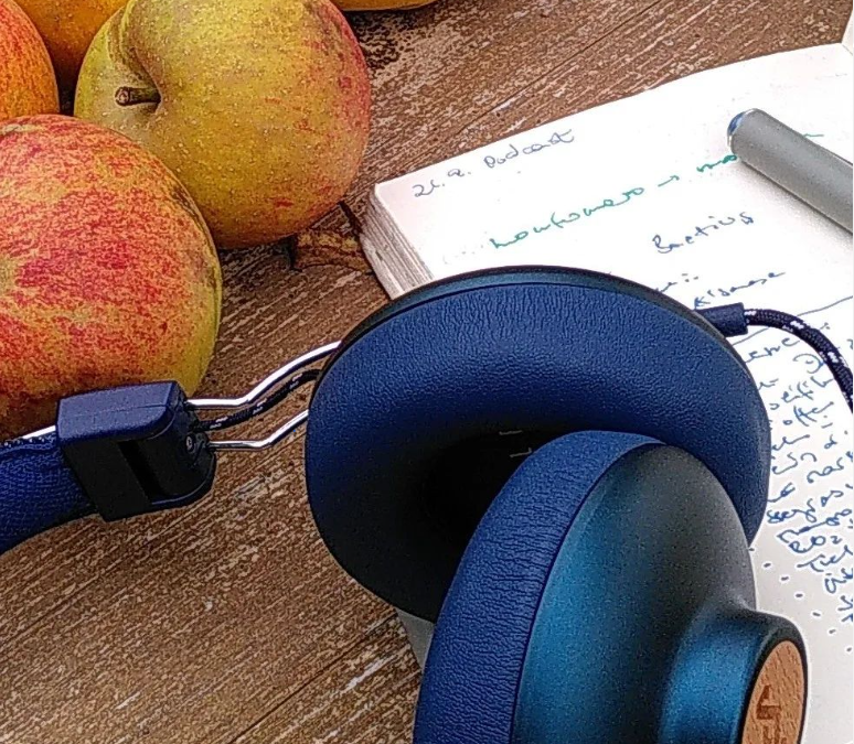 podcast_gruenland_kopfhoerer