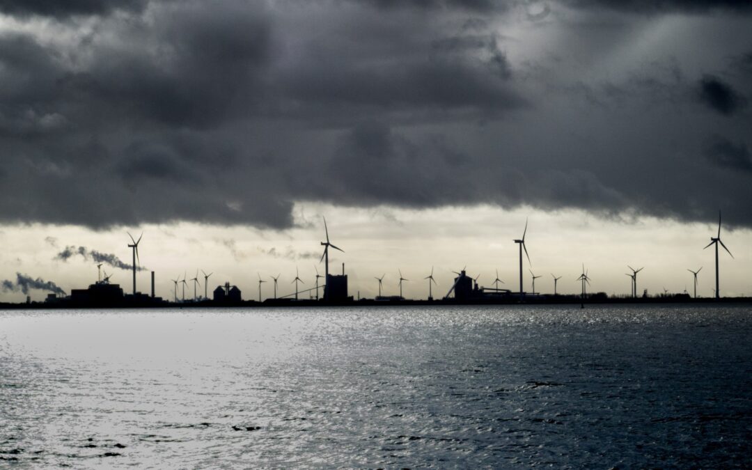 EU_naturschutzrecht_mit_notverordnung_aushebeln_erneuerbare_energien