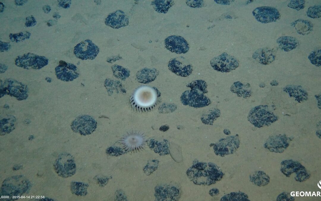 precautionary_pause_tiefseebergbau_manganknollen