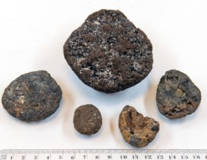 Mehrere Manganknollen, die Metalle beinhalten, in verschiedenen Größen