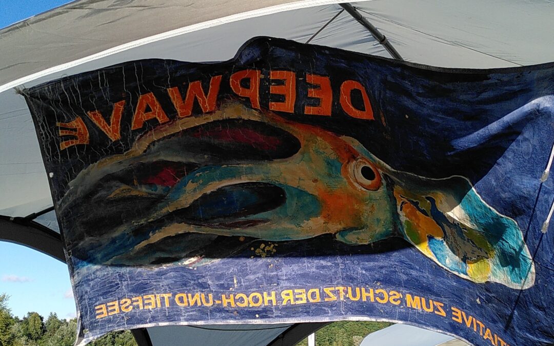 IMG_20220805_190438~3