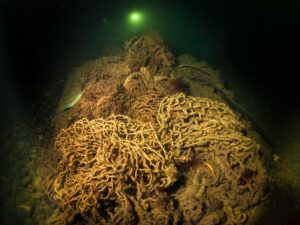 Ein riesiges Geisternetz am Grund