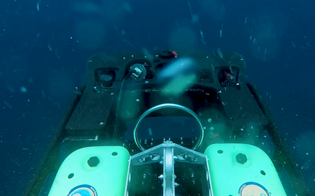 Eyes on the Seafloor